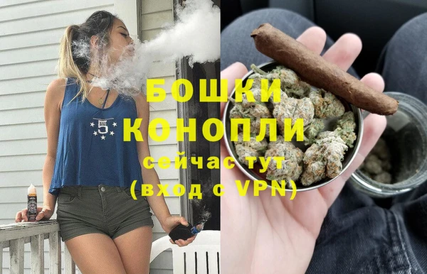 PSILOCYBIN Елизово