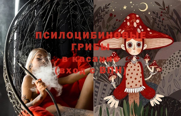 PSILOCYBIN Елизово